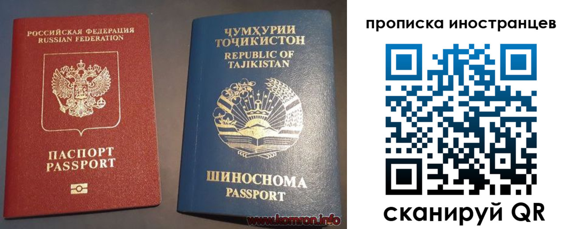прописка поиск в Вологодской области